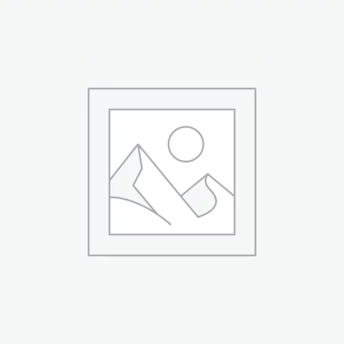 AXI Domek na Palach ze Zjeżdżalnia 118 cm